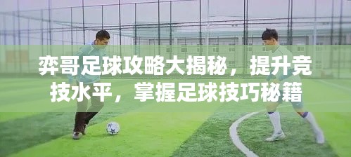 硕果仅存 第4页