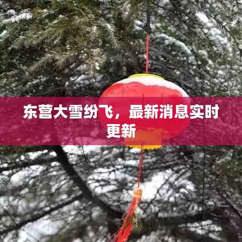 东营大雪纷飞，最新消息实时更新