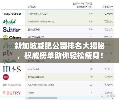 新加坡减肥公司排名大揭秘，权威榜单助你轻松瘦身！
