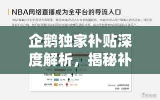 企鹅独家补贴深度解析，揭秘补贴金额与探讨其背后价值