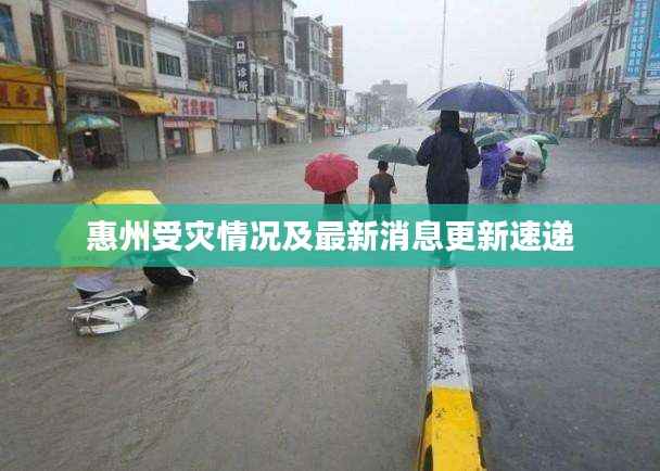 惠州受灾情况及最新消息更新速递