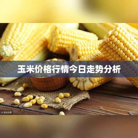 百不获一 第4页