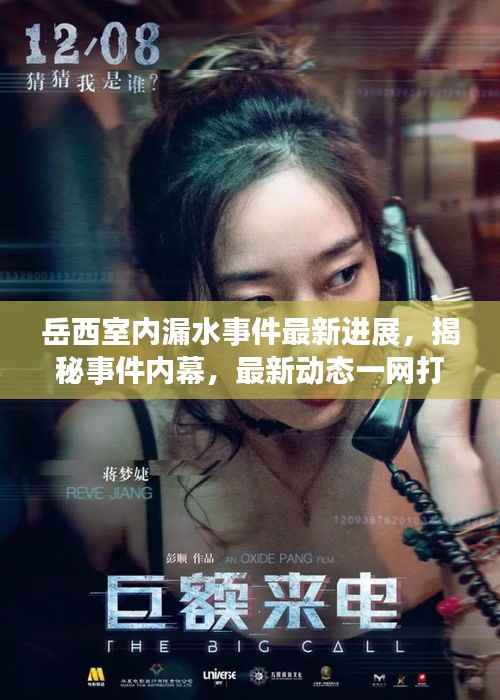 岳西室内漏水事件最新进展，揭秘事件内幕，最新动态一网打尽！