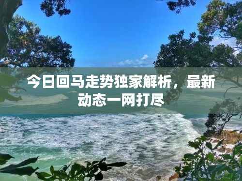 今日回马走势独家解析，最新动态一网打尽