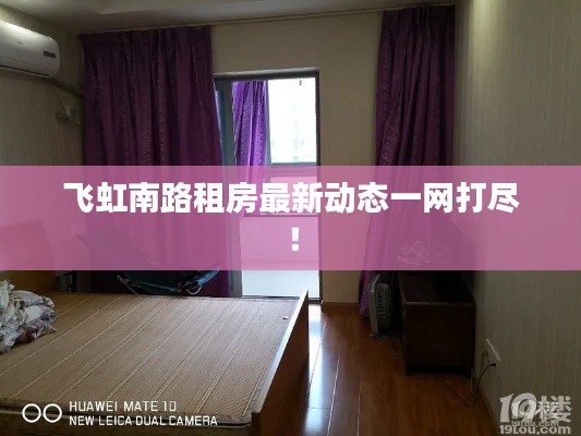 飞虹南路租房最新动态一网打尽！