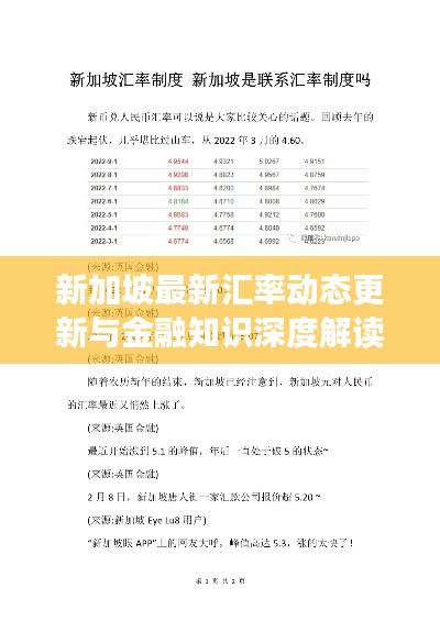 新加坡最新汇率动态更新与金融知识深度解读