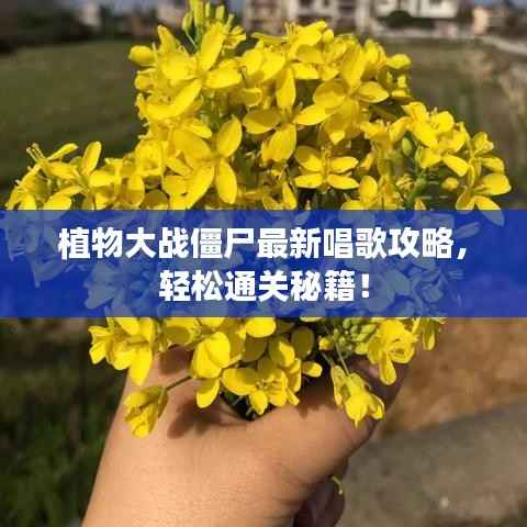 植物大战僵尸最新唱歌攻略，轻松通关秘籍！