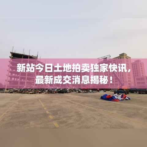 新站今日土地拍卖独家快讯，最新成交消息揭秘！