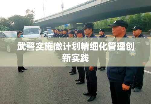 武警实施微计划精细化管理创新实践
