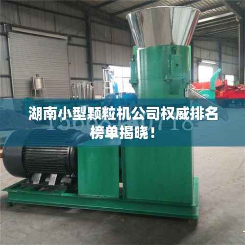 湖南小型颗粒机公司权威排名榜单揭晓！