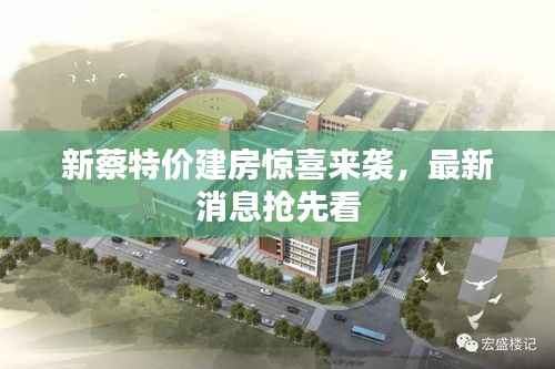 新蔡特价建房惊喜来袭，最新消息抢先看