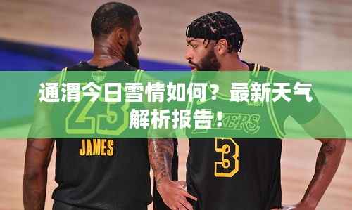 通渭今日雪情如何？最新天气解析报告！