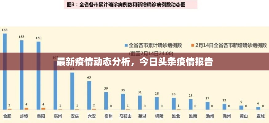 最新疫情动态分析，今日头条疫情报告