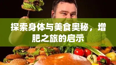 探索身体与美食奥秘，增肥之旅的启示