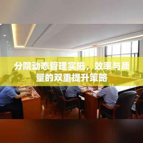 分院动态管理实施，效率与质量的双重提升策略