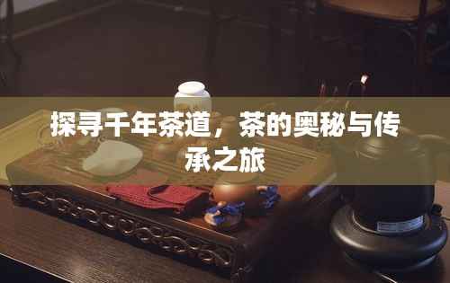 探寻千年茶道，茶的奥秘与传承之旅