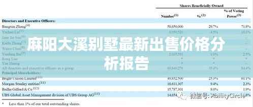 麻阳大溪别墅最新出售价格分析报告