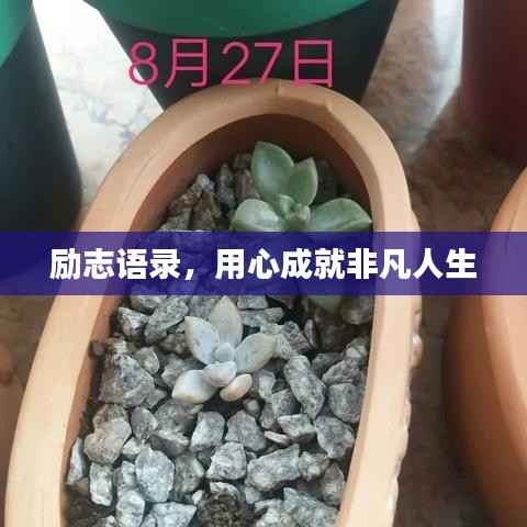 励志语录，用心成就非凡人生