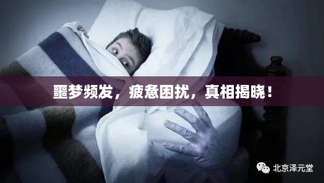 噩梦频发，疲惫困扰，真相揭晓！