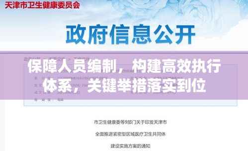 保障人员编制，构建高效执行体系，关键举措落实到位