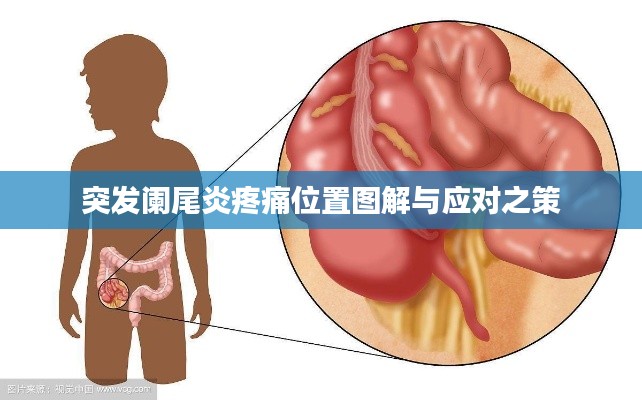 全神贯注 第4页