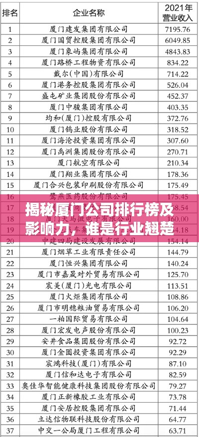 揭秘厦门公司排行榜及影响力，谁是行业翘楚？
