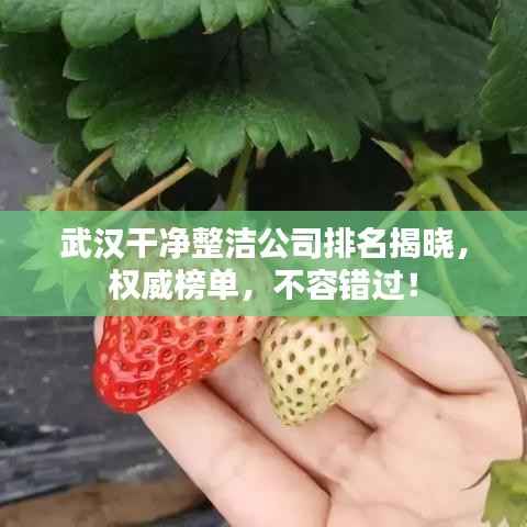 朝乾夕惕 第4页