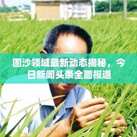 固沙领域最新动态揭秘，今日新闻头条全面报道