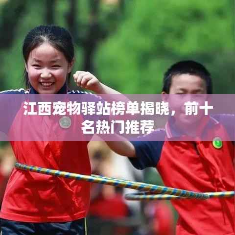 江西宠物驿站榜单揭晓，前十名热门推荐