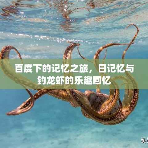 百度下的记忆之旅，日记忆与钓龙虾的乐趣回忆