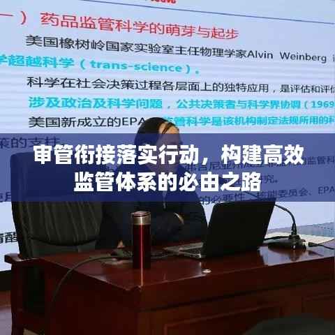 审管衔接落实行动，构建高效监管体系的必由之路