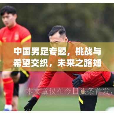 中国男足专题，挑战与希望交织，未来之路如何前行？