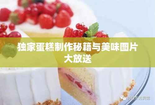 独家蛋糕制作秘籍与美味图片大放送