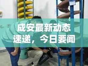 成安最新动态速递，今日要闻一览