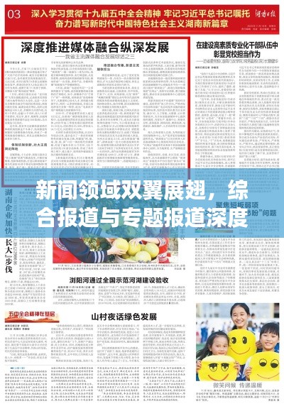 新闻领域双翼展翅，综合报道与专题报道深度剖析