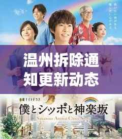 温州拆除通知更新动态，最新消息一网打尽！