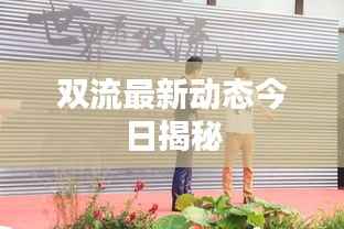 双流最新动态今日揭秘