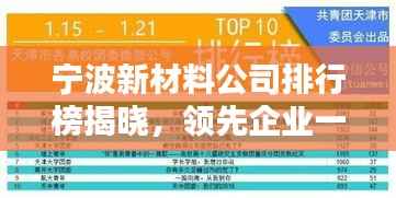 衣不兼采 第4页