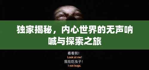 独家揭秘，内心世界的无声呐喊与探索之旅