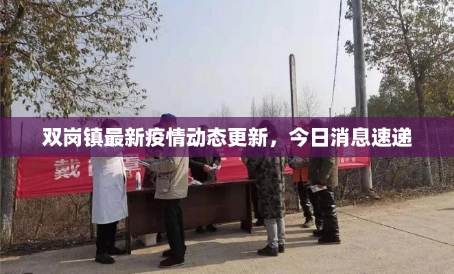 双岗镇最新疫情动态更新，今日消息速递