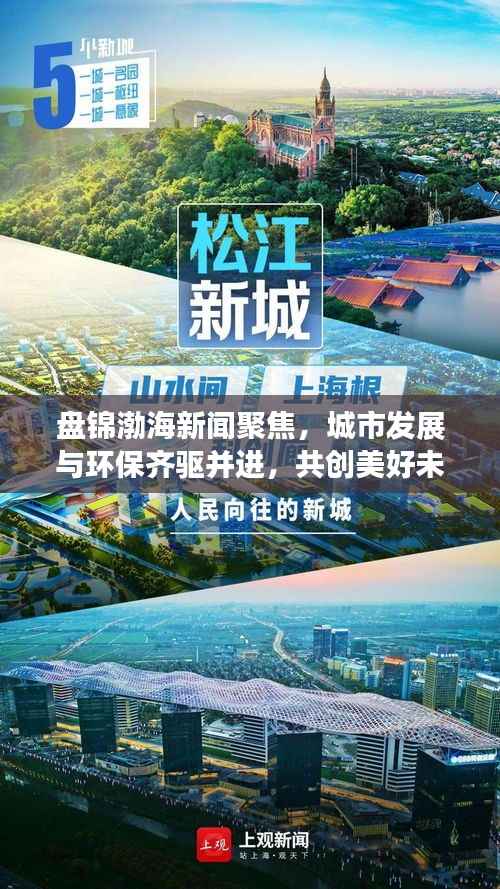 盘锦渤海新闻聚焦，城市发展与环保齐驱并进，共创美好未来