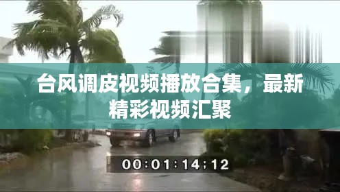 台风调皮视频播放合集，最新精彩视频汇聚
