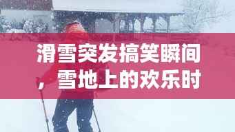 滑雪突发搞笑瞬间，雪地上的欢乐时光不容错过！