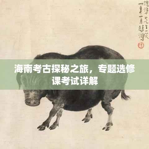 海南考古探秘之旅，专题选修课考试详解