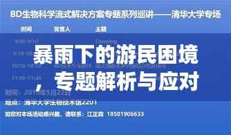 草率收兵 第4页