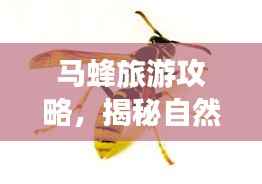 花成蜜就 第4页