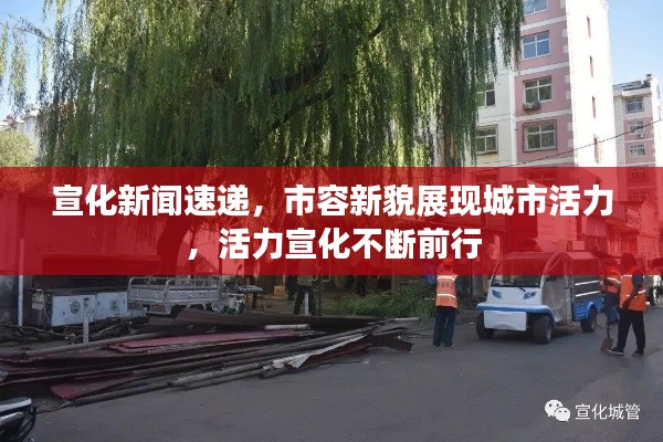 宣化新闻速递，市容新貌展现城市活力，活力宣化不断前行