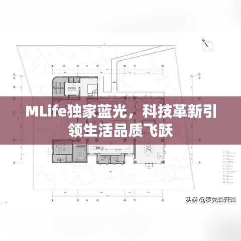 MLife独家蓝光，科技革新引领生活品质飞跃