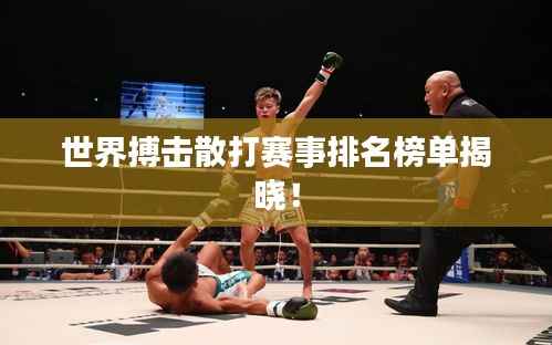世界搏击散打赛事排名榜单揭晓！