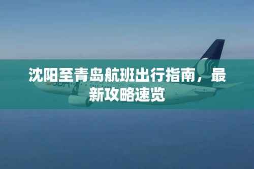 沈阳至青岛航班出行指南，最新攻略速览